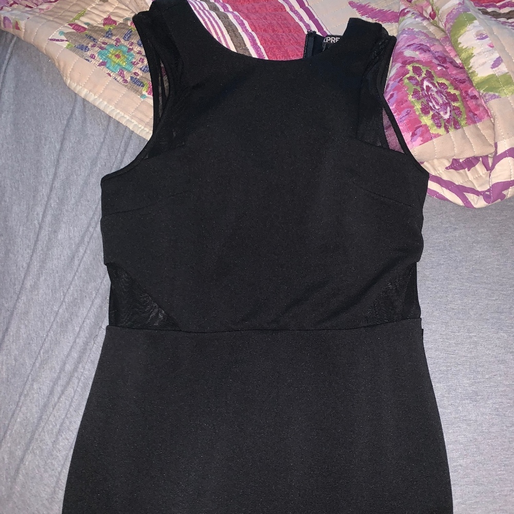 Express Bodycon Mesh Dress